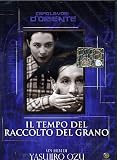 Il Tempo Del Raccolto Del Grano