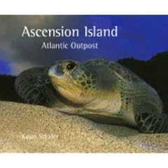 Ascension Island Atlantic Outpost (Wild Isles)