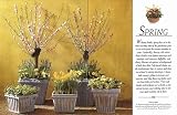 Container Gardening Through the Year (DK Living)