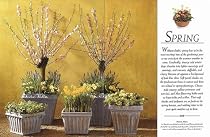 Container Gardening Through the Year (DK Living)