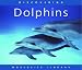 Discovering Dolphins (Worldlife Library) (Worldlife Library)