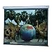 Da-Lite Manual 70 x 70 Square Format Classroom Wall Screen with Silver Matte Fabric