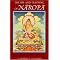 Some Tibetan Buddhism / Dzogchen books recommended