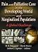 Search : Pain and Palliative Care in the Developing World and Marginalized Populations: A Global Challenge