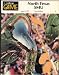 Football Game Program NTSU vs Southern Methodist University (SMU) 1977