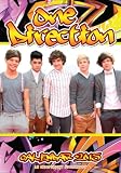 Produkt-Bild: 2013 One Direction Kalender