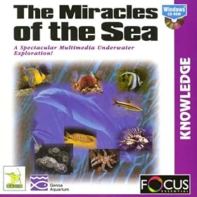 The Miracles Of The Sea