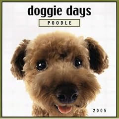 Doggie Days: Poodle 2005 Calendar (Doggie Days)
