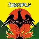 Primitive [Explicit]