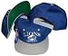 Detroit Lions Two Tone Snapback Adjustable Plastic Snap Back Hat / Cap