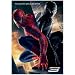 映画『スパイダーマン3』《ダブルVer.》ポスター