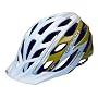 Giro Phase Bike Helmet