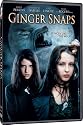 Ginger Snaps
