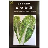 在来固定種　伝統野菜の種「かつお菜」5ml約1300粒　畑懐〔はふう〕