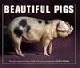 Beautiful Pigs