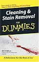 Cleaning & Stain Removal for Dummies