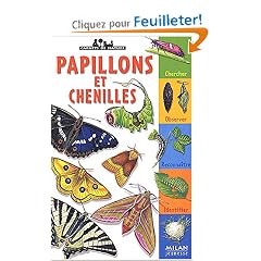 Papillons et chenilles