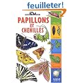 Papillons et chenilles