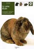 La lapin bélier