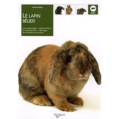 La lapin b�lier