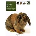 La lapin b�lier