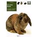 La lapin b�lier