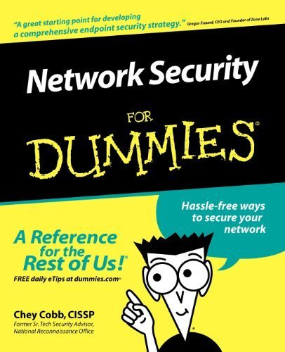 Network Security For Dummies by Cobb, Chey (2002) Paperback