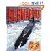 Submarines (Military Hardware in Action)