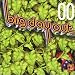 Music : Big Day Out 2000 (+ Bonus Screen Saver)