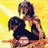 『2006 ミニチュアダックスフント』の写真