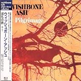 Pilgrimage +1 [Ltd. Papersleeve - Wishbone Ash