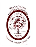 What You Can Learn From Things that Go Wrong : a Guidebook to the ROOT CAUSES of Failure