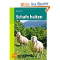 Schafe halten