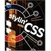 Stylin' with CSS: A Designer's Guide (Voices)