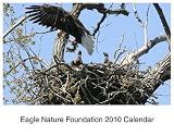 Eagle Nature Foundation 2010 Calendar