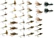 Eastern Trout Fly...