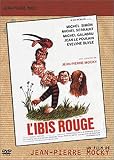 L'ibis rouge