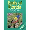 Birds Of Florida Field Guide