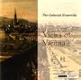 Views of Vienne