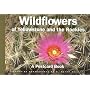 Wildflowers of Yellowstone and the Rockies: A Postcard Book (Postcard Books)