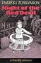 Night of the Red Devil (Time Slip Adventures)