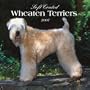 Soft Coated Wheaten Terriers 2007 Calendar