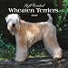 Soft Coated Wheaten Terriers 2007 Calendar