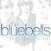 Search : The Singles Collection