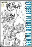 Street Fighter Gaiden, Vol. 1