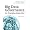 Big Data Governance