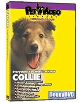 COLLIE DVD! + Dog & Puppy Training Bonus (Doggy DVD)