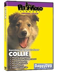 COLLIE DVD! + Dog & Puppy Training Bonus (Doggy DVD)