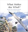 What Makes The Wind - Pbk