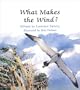 What Makes the Wind